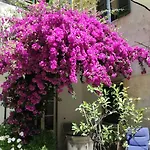Relais Sassetti